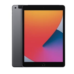 Ipad A2429